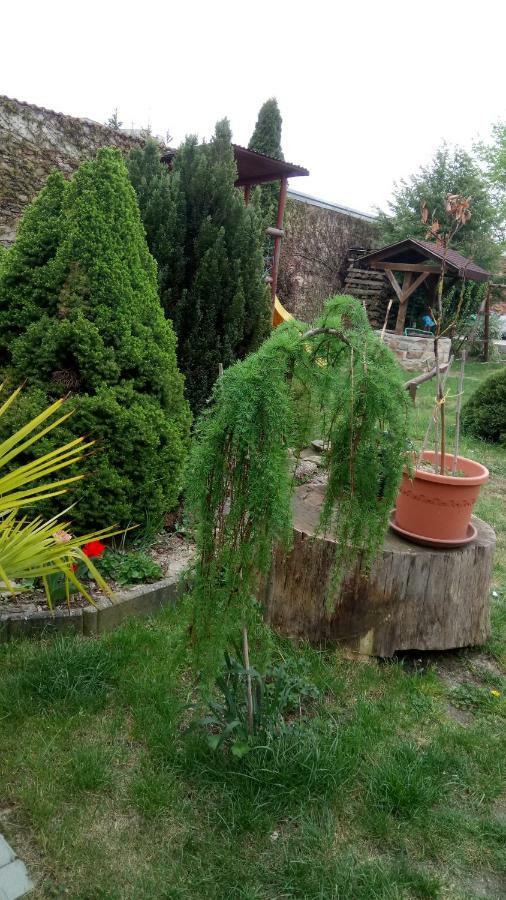 Penzion U Formana Stráž nad Nežárkou Exterior foto